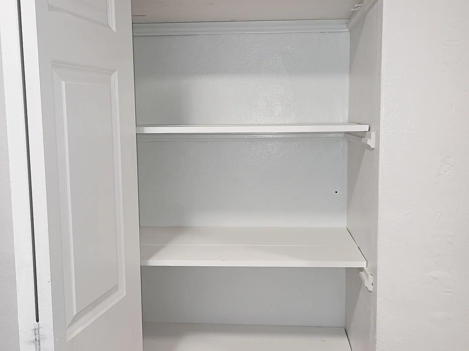 2 bed, 1000 sqft, $1,500 — Photo 3
