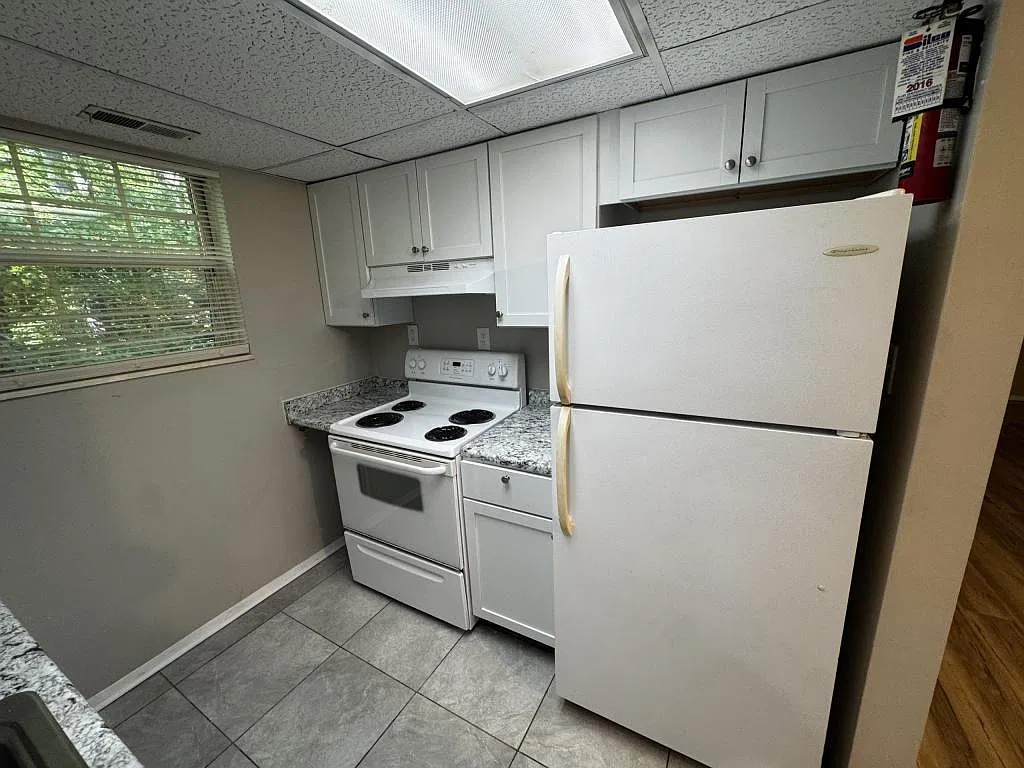 3811 Rohling Oaks Dr — Photo 2