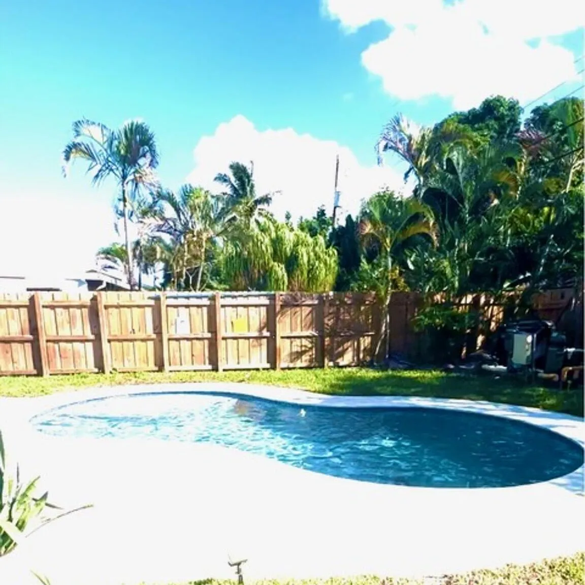 3 bed, 2.0 bath, 1267 sqft, $3,850 — Photo 2