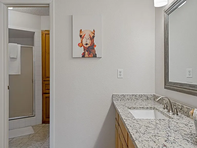 2906 Country Place Ct — Photo 14