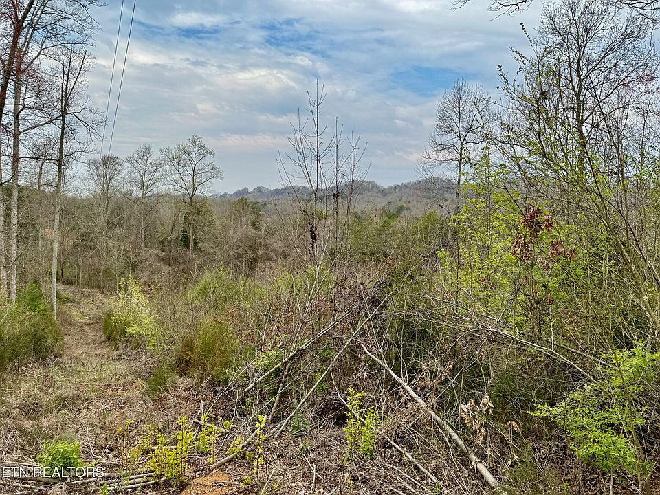 2nd image of Overlook Ln
