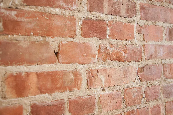 Rented by Compass | media 39