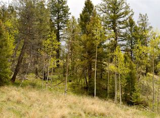 787 Pinon Lane, Florissant, CO 80816