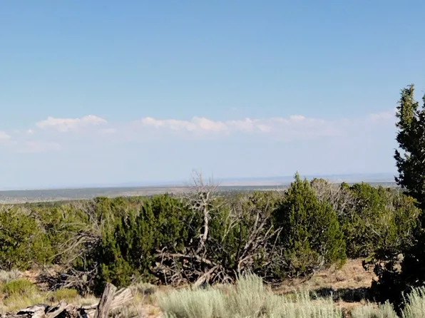 171 County Road 7113 N, Saint Johns, AZ 85936