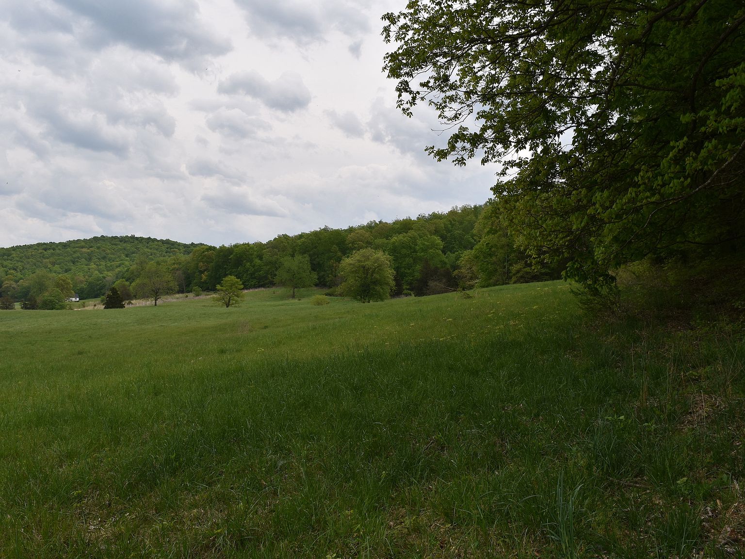 Kelly Ln LOT WP001, Monticello, KY 42633 Zillow