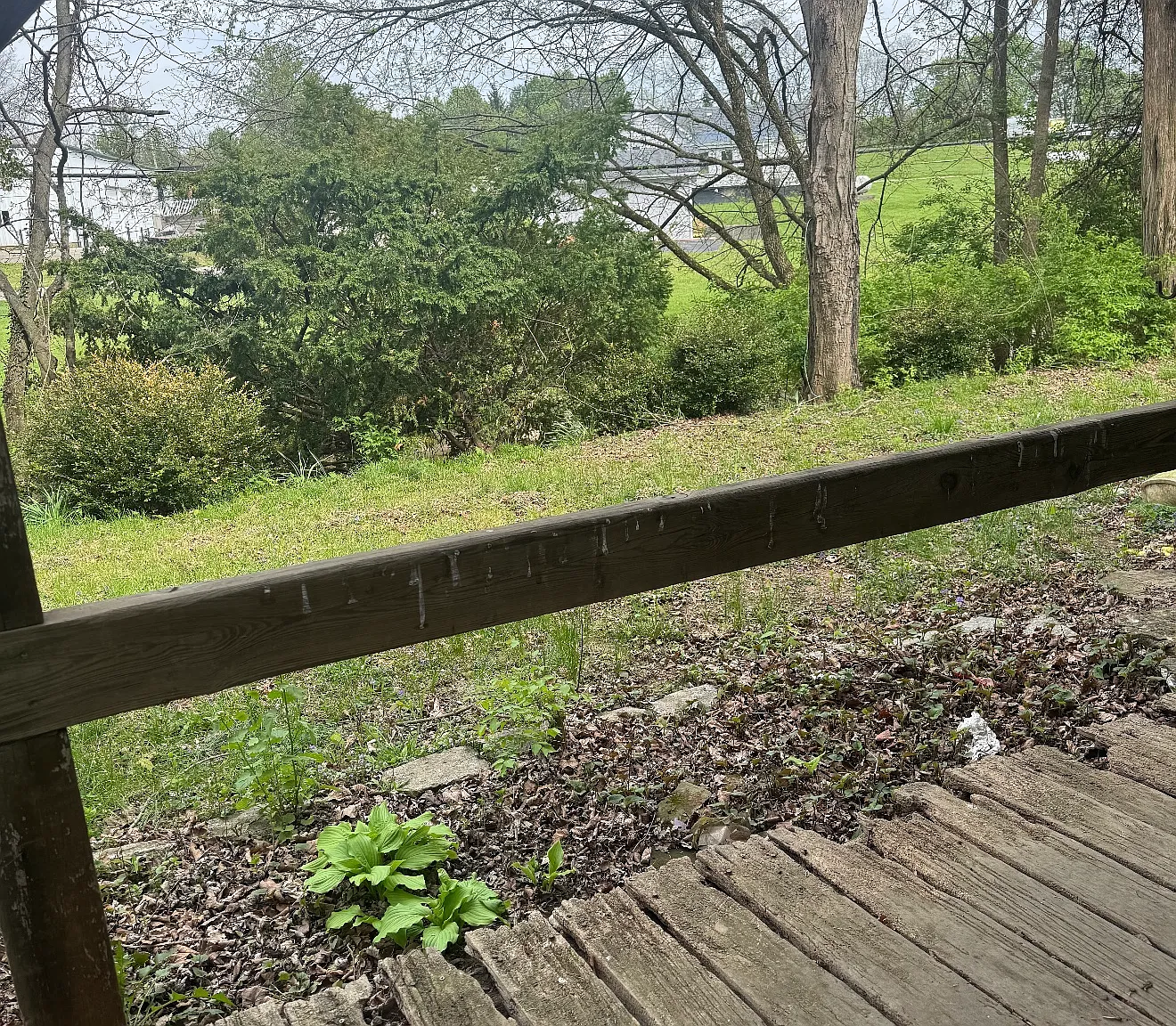 2 bed, 1200 sqft, $1,495 — Photo 3