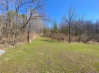 0 State Rd LOT 48, Colden, NY 14033