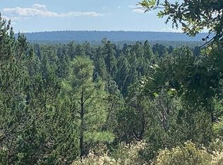 740 Ceremony Ln, Happy Jack, AZ 86024