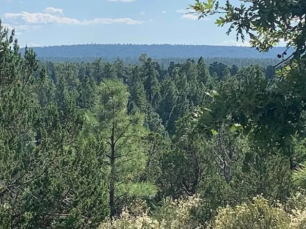 740 Ceremony Ln, Happy Jack, AZ 86024