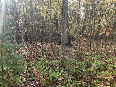 LOT 29 Hidden Hills Rd, Houghton Lake, MI, 48629