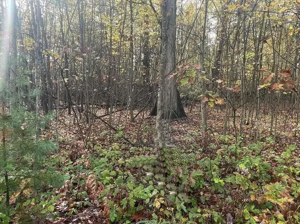 LOT 29 Hidden Hills Rd, Houghton Lake, MI 48629