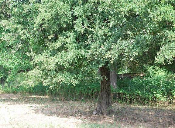 5th image of 10546 Newell Creek Dr