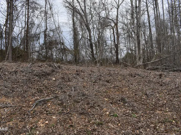 LOT 21 Jones Ridge Rd, Speedwell, TN 37870