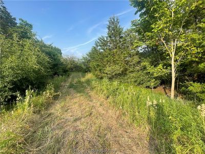 7 Marino Estates Rd, Bryan, TX, 77808