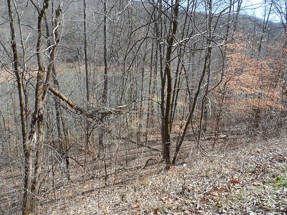 5th image of 1020 Hiwassee Dr