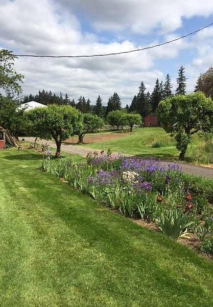 Pears, apples, plums, cherries, and grapes are available to the tenants for harvesting in the summer.