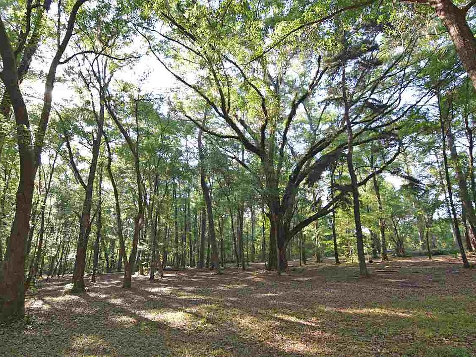 6943 Proctor Rd, Tallahassee, FL 32309 Zillow