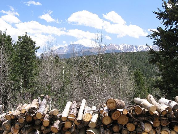 Pikes Peak view