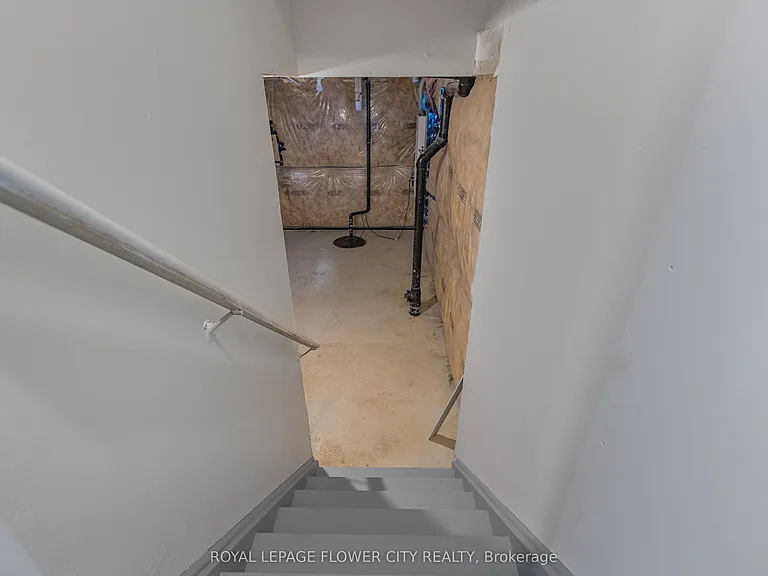 25 Munro Cir — Photo 38