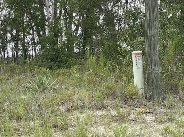 2466 W Rutland Dr #2, Dunnellon, FL 34434