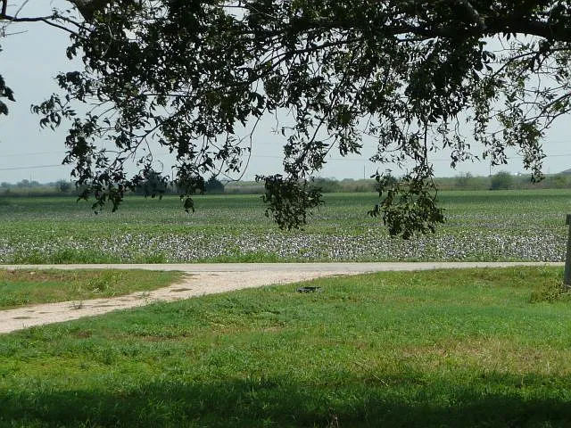 House Farmers — Photo 3