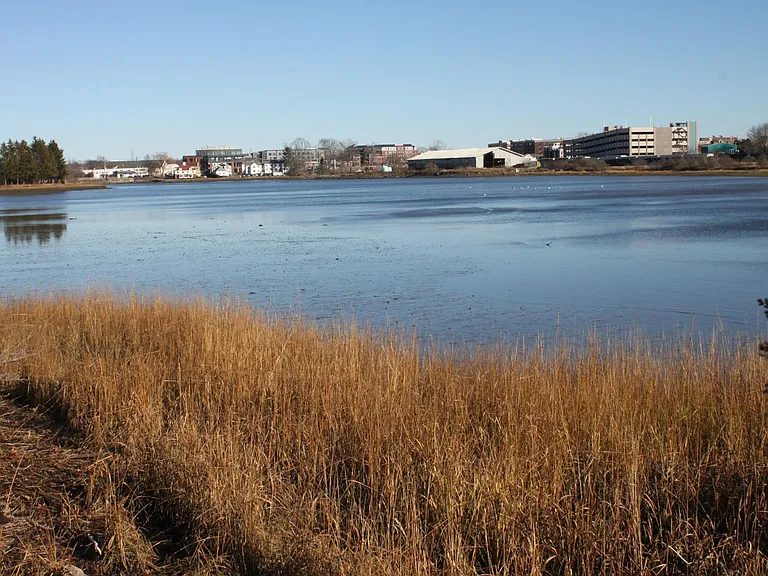 Salt Waterfront Back Yard