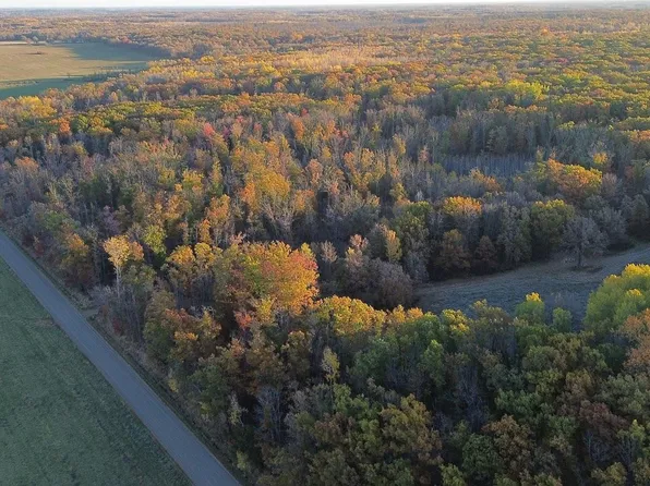 Thesing Rd, Brainerd, MN 56401