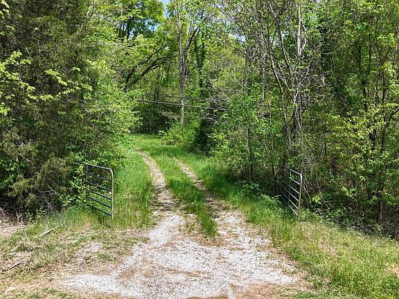4th image of 475 Old Elkton Pike