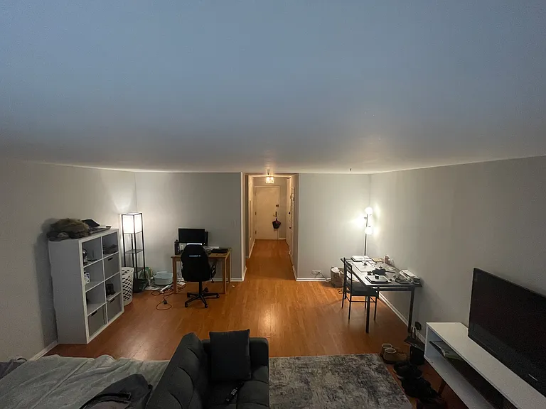 777 N Michigan Ave #904 — Photo 6