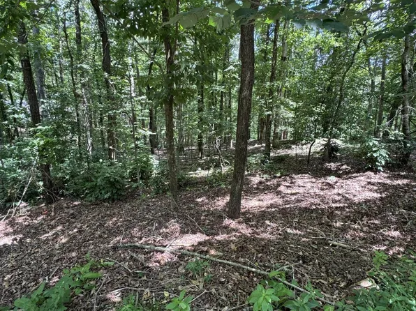 49 La Granja Cir, Hot Springs Village, AR 71909