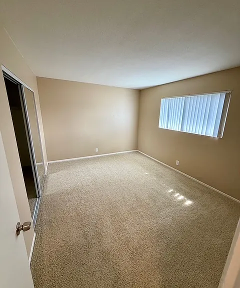 1009 Seabreeze Dr — Photo 11
