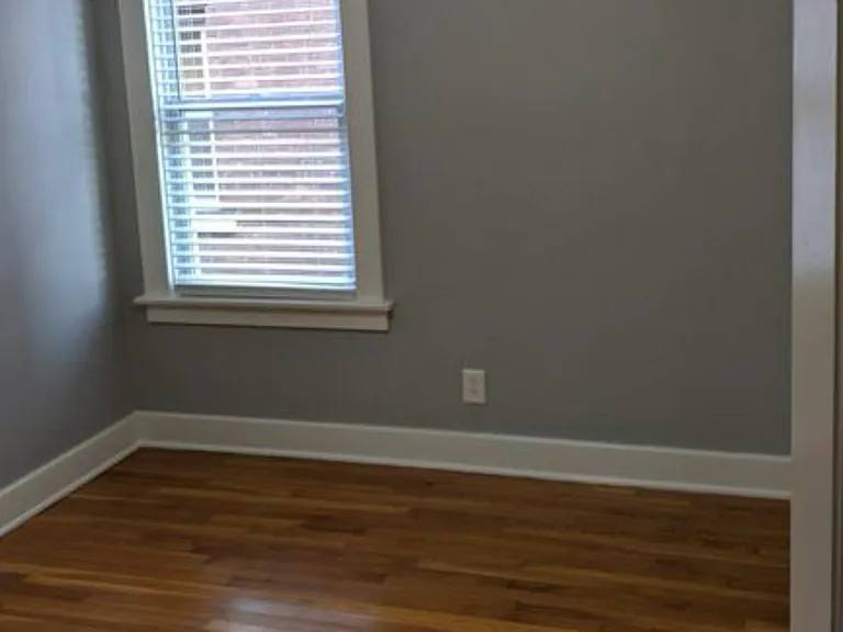 321 W Webster St #1 — Photo 18