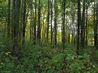 Sunset Dr, Chagrin Falls, OH 44023