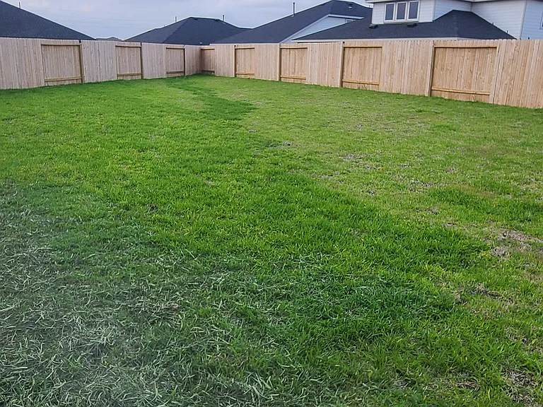 Huge Yard