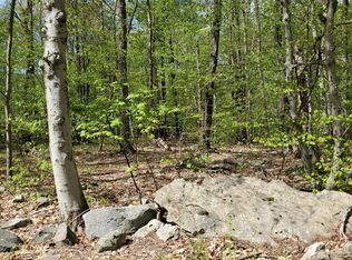 49 Ridge Rd, Lake Ariel, PA 18436