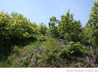 148 E Berry Way, Midway, UT 84049