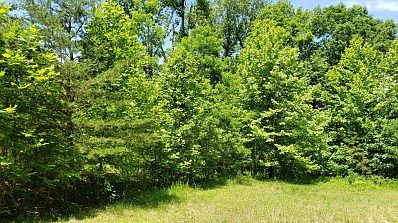 lot 11 Blackwater Landing