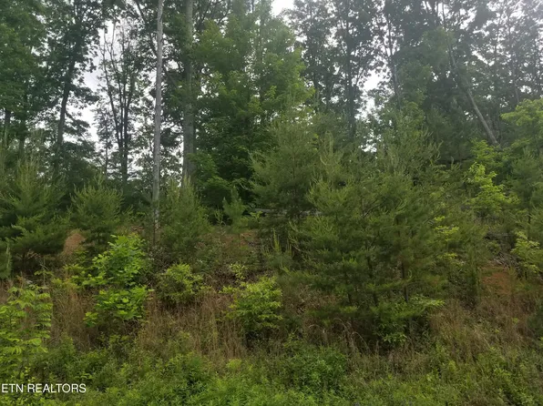 LOT 33 Bayside Blvd, Bean Station, TN 37708
