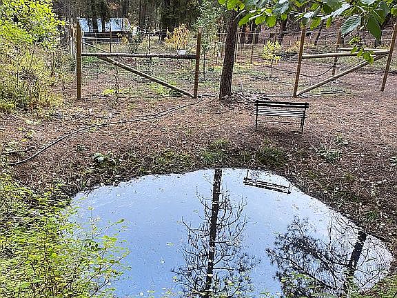 Pond#1