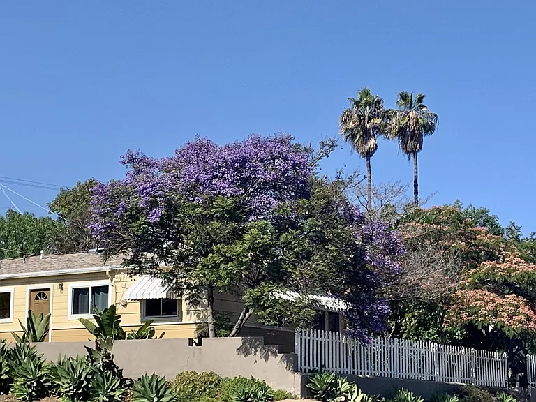 7102 Mohawk St — Photo 19
