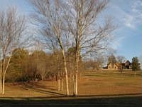 1st image of 110 Saxwood Dr
