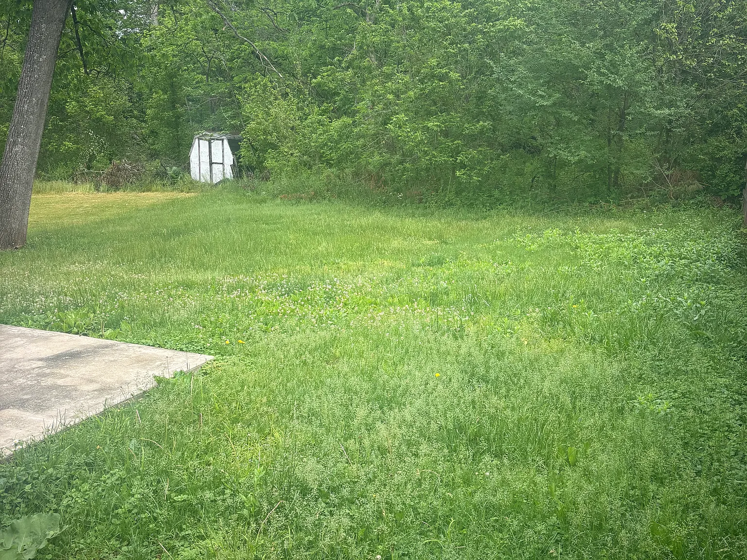 3 bed, 880 sqft, $1,800 — Photo 2