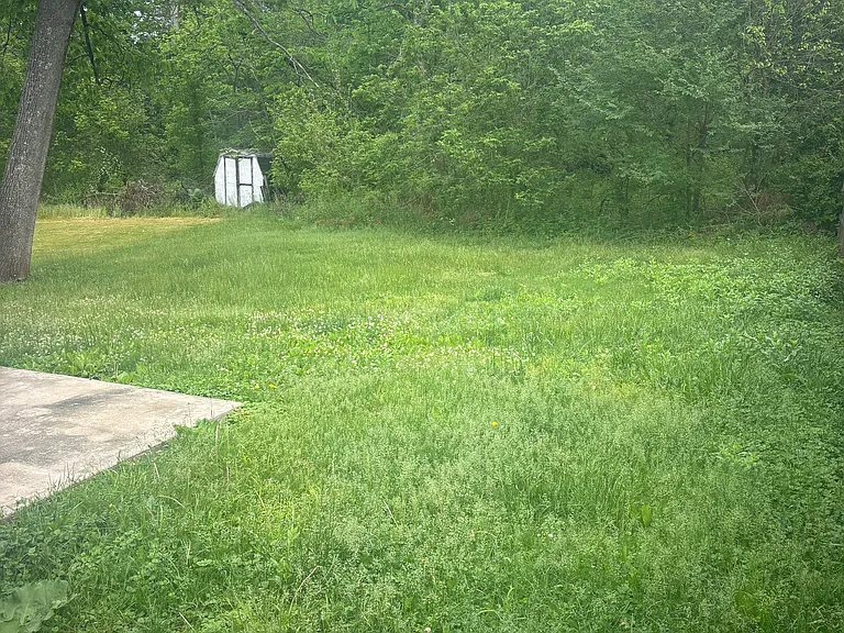 1423 Claire Dr — Photo 2