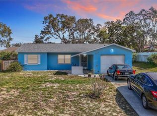 202 Dan River Dr, Spring Hill, FL 34606