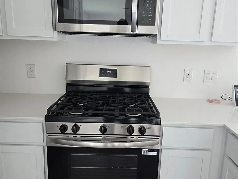 26706 Dalmatian Bellflower Dr — Photo 21