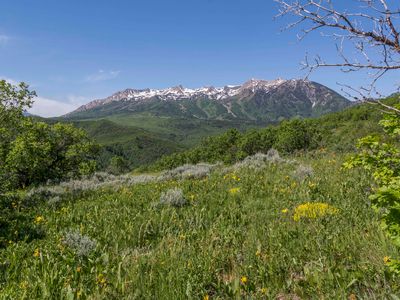 1481 S Basinview Rd, Huntsville, UT, 84317