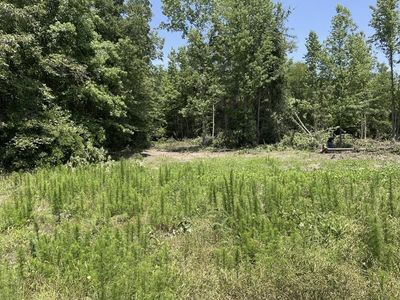 County Road 3417, Jefferson, TX, 75657