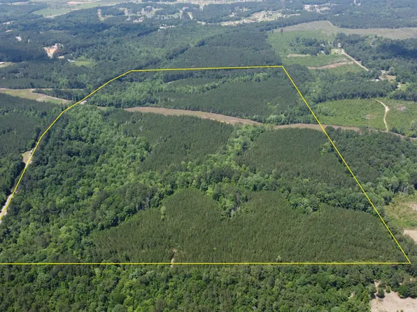 0 Josh Rd, Moselle, MS 39459