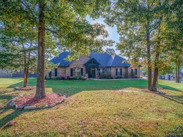 188 Grace Ln, Diana, TX 75640