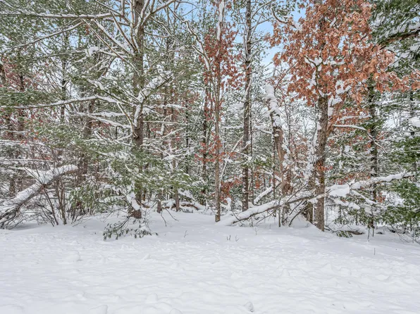 1 Bradby Blvd, Baldwin, MI 49304